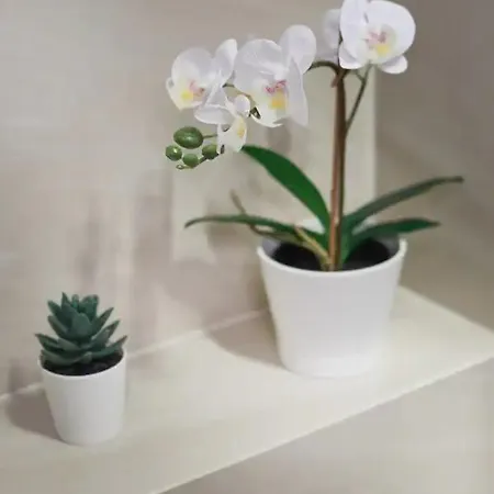 P&o Serviced Siedmiogrodzka Iii